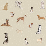 Dekornik wallpaper dogs are the best, beige with dots