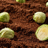 Tntnmom's Dr.Cabbage veganska kupus krema za hlađenje 